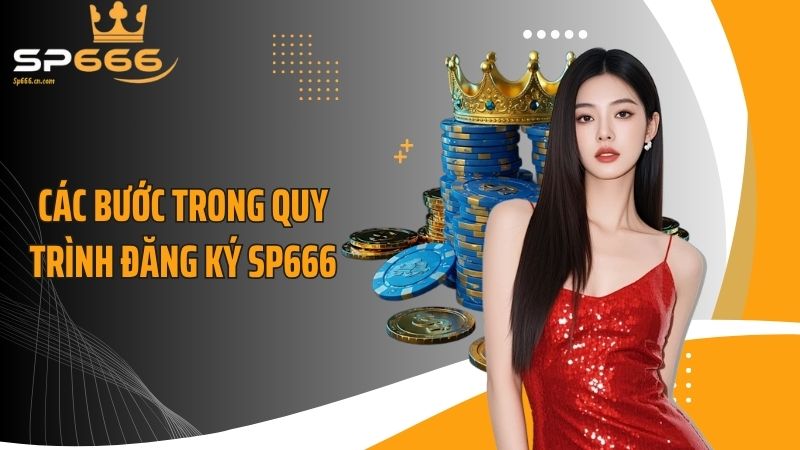 Các bước trong quy trình đăng ký SP666